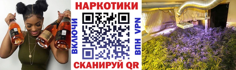Где купить Кропоткин СОЛЬ Псилоцибиновые грибы Мефедрон Бошки Шишки ГАШИШ Cocaine