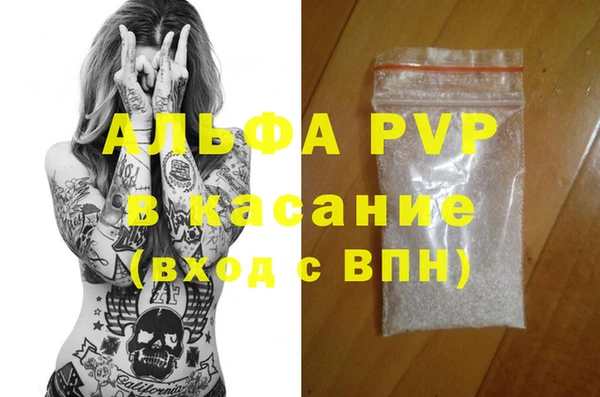 сатива Сосновка
