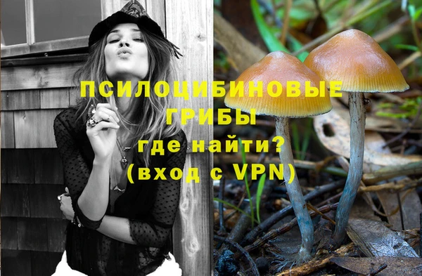 мяу мяу мука Белокуриха